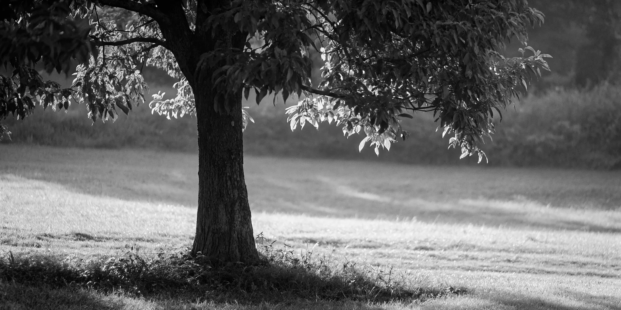 Consistent Investment Returns: Strategies for Steady Growth